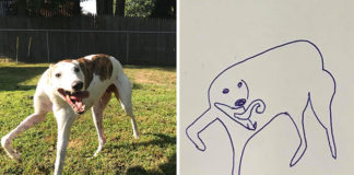 Flat Dog Doodles