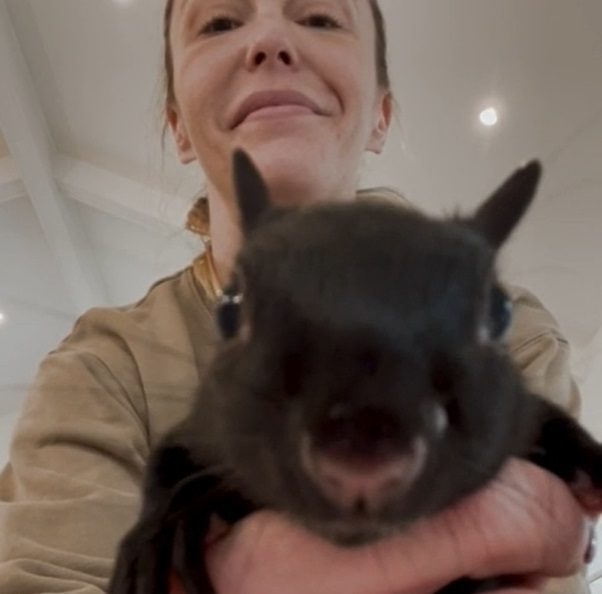 Squirrel Keeps Coming Back to Family That Rescued Him to Play Our