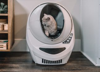 Litter box