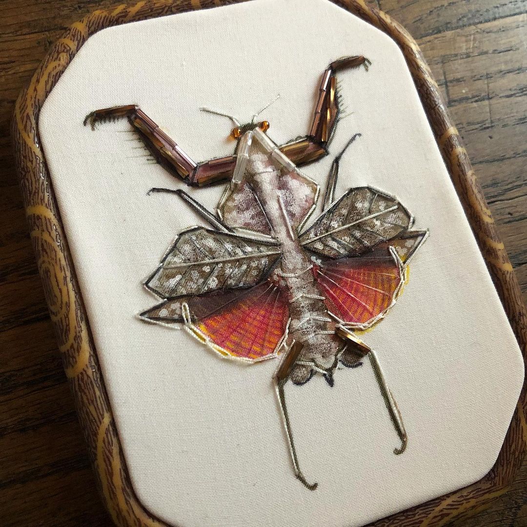 Sarah Leonard Is Making Atypical Curiosities Inspired By Insects - Our 